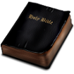 Bible Icon